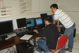 2009年度塔管局信息化系統運行維護保障工作成效顯著